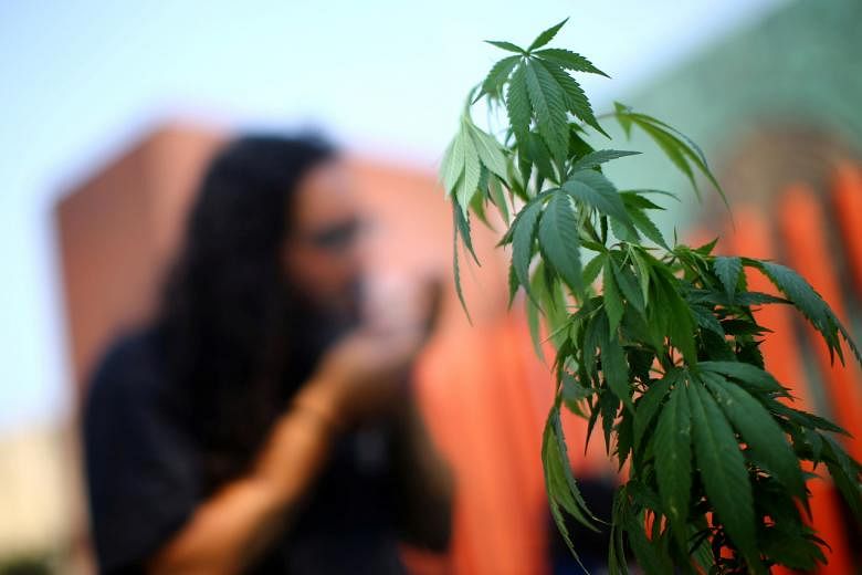 Badan obat PBB melonggarkan kontrol global terhadap ganja, mengikuti saran WHO